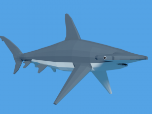 low poly cartoon hammerhead shark Modelo 3D
