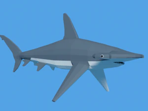 low poly cartoon hammerhead shark 3D Model