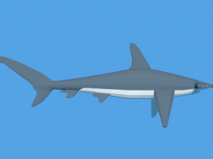 low poly cartoon hammerhead shark Modelo 3D