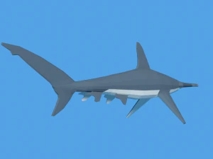 low poly cartoon hammerhead shark 3D Model