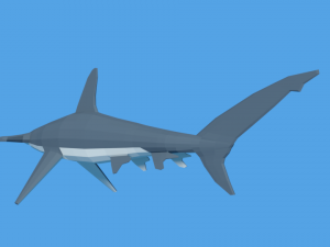low poly cartoon hammerhead shark Modelo 3D