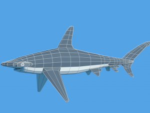 low poly cartoon hammerhead shark Modelo 3D
