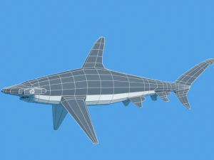 low poly cartoon hammerhead shark 3D Model