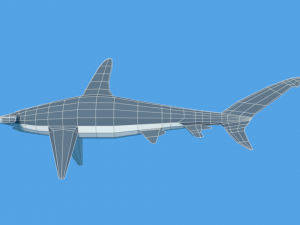 low poly cartoon hammerhead shark Modelo 3D