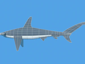 low poly cartoon hammerhead shark 3D Model