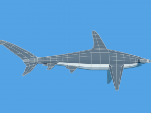 low poly cartoon hammerhead shark Modelo 3D