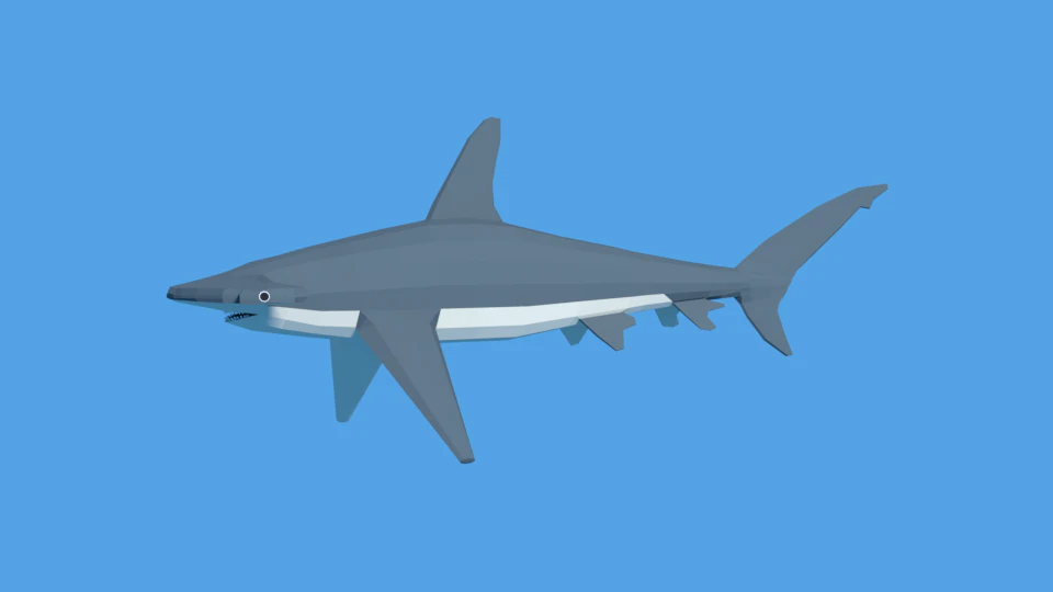 low poly cartoon hammerhead shark 3D Model .c4d .max .obj .3ds .fbx .stl .blend 