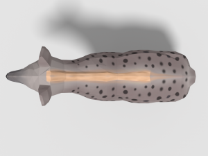 low poly cartoon hyena Modelo 3D