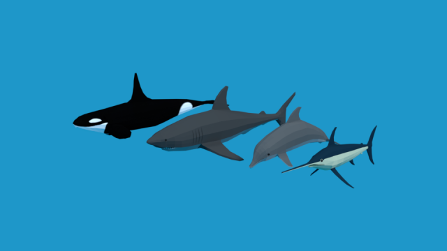 low poly fish collection Modelo 3D .c4d .max .obj .3ds .fbx .stl .blend 