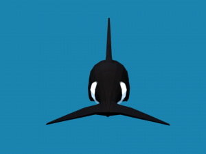 low poly fish collection Modelo 3D
