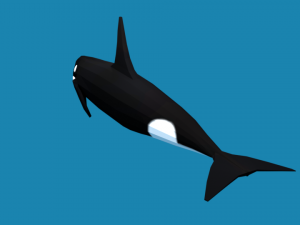 low poly fish collection Modelo 3D