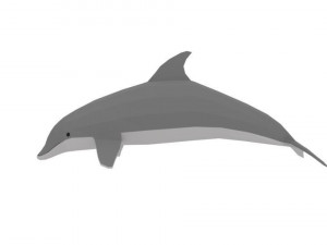 low poly fish collection Modelo 3D