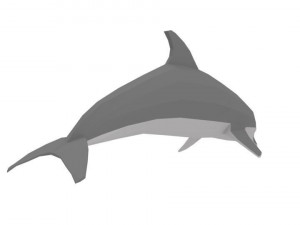 low poly fish collection Modelo 3D