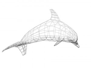 low poly fish collection Modelo 3D