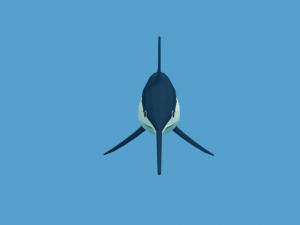 low poly fish collection Modelo 3D