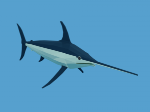 low poly fish collection Modelo 3D