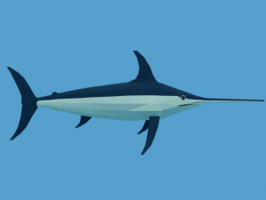 low poly fish collection Modelo 3D
