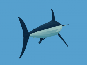 low poly fish collection Modelo 3D
