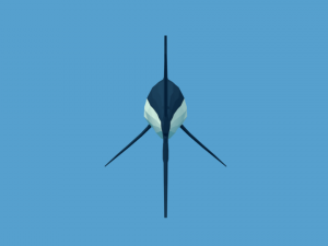 low poly fish collection Modelo 3D