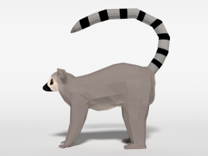 low poly cartoon ring tailed lemur Model 3D