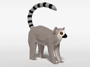 low poly cartoon ring tailed lemur 3D Model