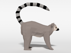 low poly cartoon ring tailed lemur Model 3D