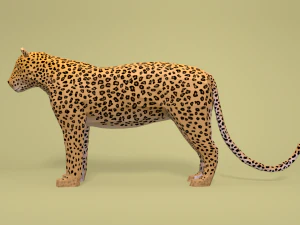 low poly cartoon leopard 3D Model