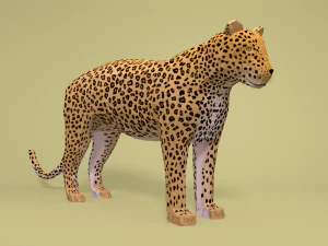 low poly cartoon leopard 3D Model