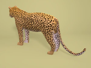 low poly cartoon leopard 3D Model