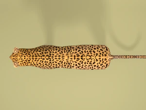 low poly cartoon leopard 3D Model
