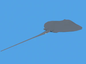 low poly cartoon stingray 3D Model