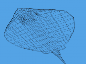 low poly cartoon stingray 3D Модель