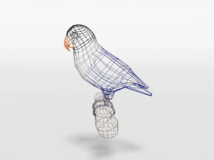 low poly cartoon lovebirds 3D Model
