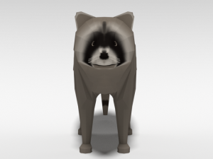 low poly cartoon raccoon 3D 모델