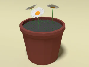 low poly cartoon daisy flowers 3D Model