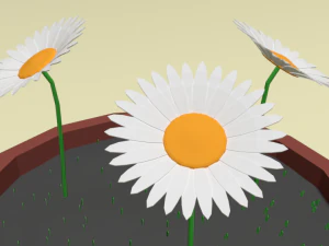 low poly cartoon daisy flowers 3D Model