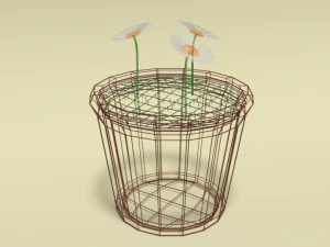 low poly cartoon daisy flowers 3D Model