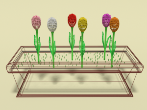 low poly cartoon tulips flowers 3D Model