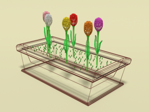 low poly cartoon tulips flowers 3D Model