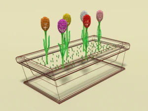 low poly cartoon tulips flowers 3D Model