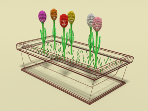 low poly cartoon tulips flowers 3D Model