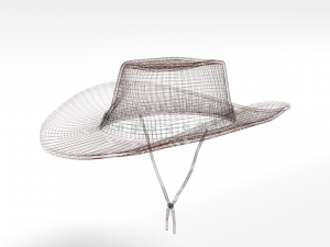 cartoon cowboy hat Model 3D