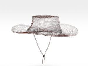 cartoon cowboy hat Model 3D