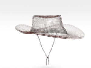 cartoon cowboy hat Model 3D
