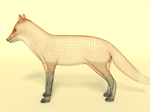 cartoon fox 3D 모델