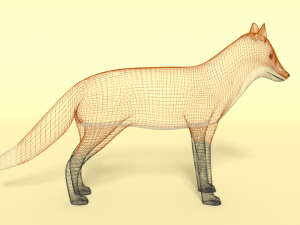 cartoon fox 3D 모델