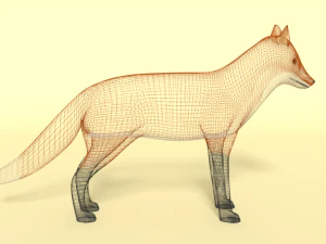 cartoon fox 3D Model