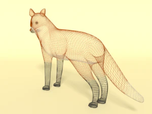 cartoon fox 3D Model