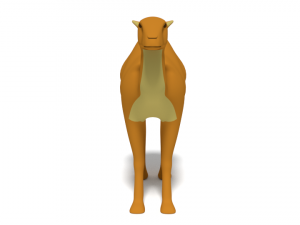 cartoon camel 3D Модель