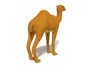 cartoon camel 3D Модель